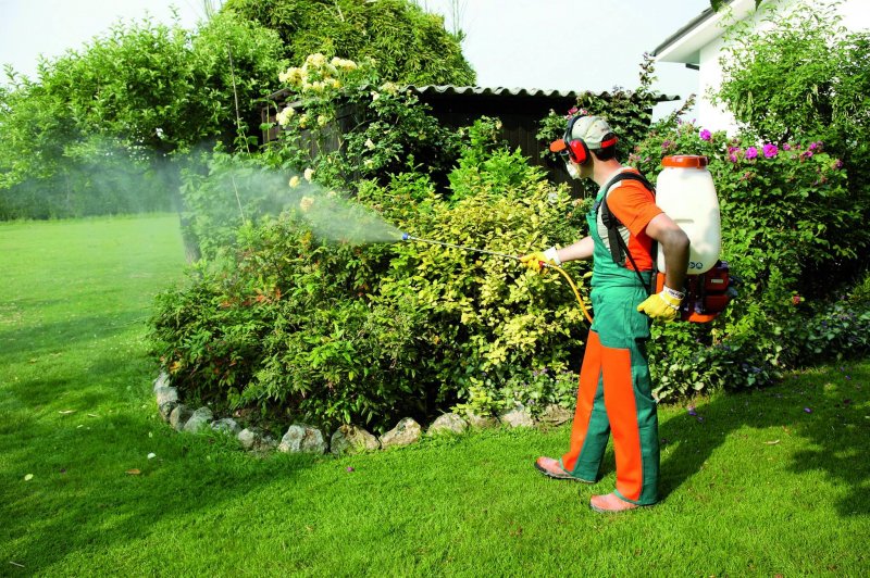 Beşiktaş Bahçe İlaçlama