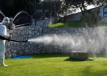 Bahçe ve Dış Alanlarda Kalıcı Haşere Kontrolü – Beşiktaş İlaçlama