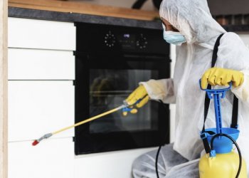 Evlerde Haşere Sorunları ve Profesyonel Çözümler – Beşiktaş İlaçlama