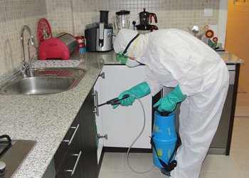 İş Yeri ve Restoranlarda İlaçlamanın Önemi – Beşiktaş İlaçlama