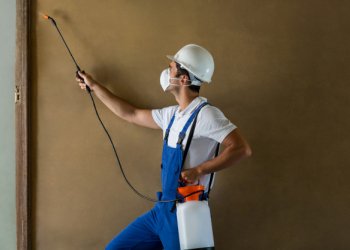 Beşiktaş’ta Soğuk Havada Neden Hamam Böceği İlaçlama Yaptırmalıyız?